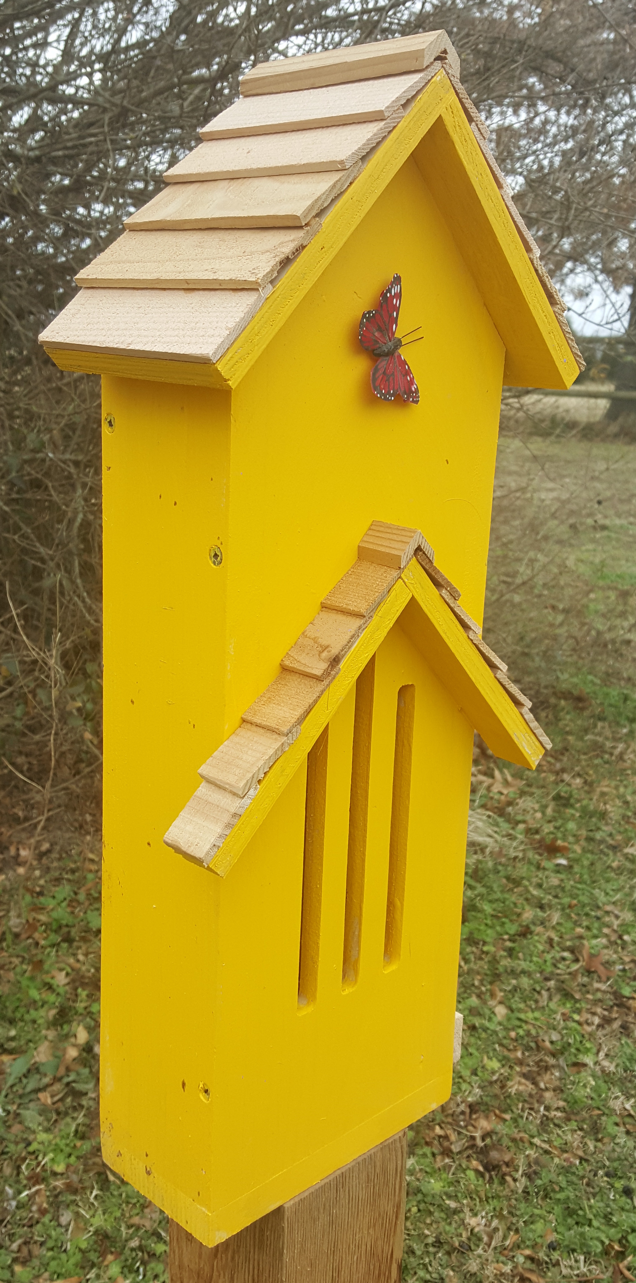 Large Butterfly House