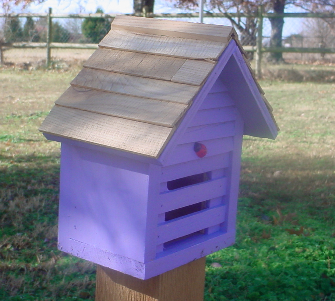 Homestead Ladybug House