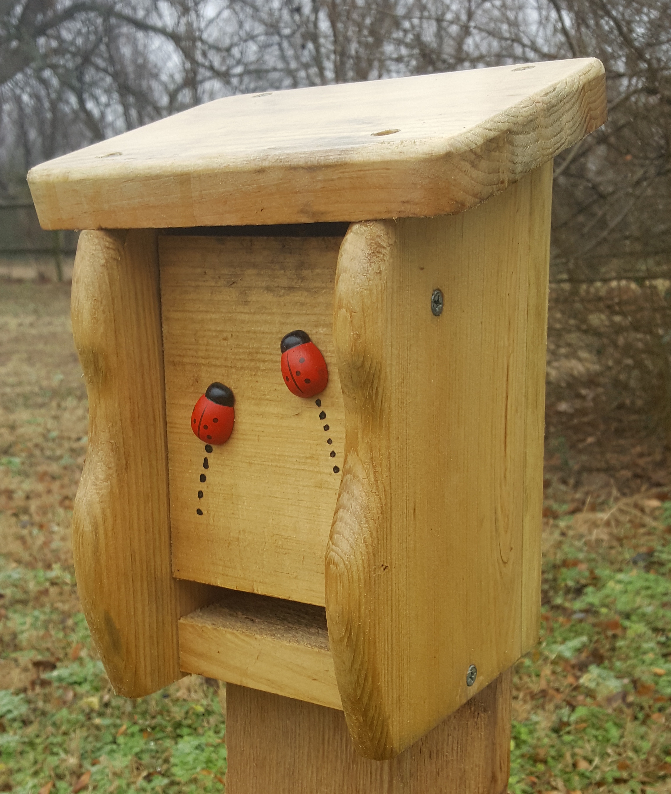 Small Ladybug House